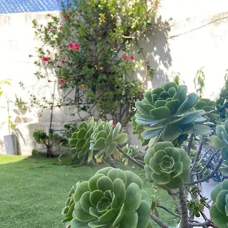 Cascais Garden
