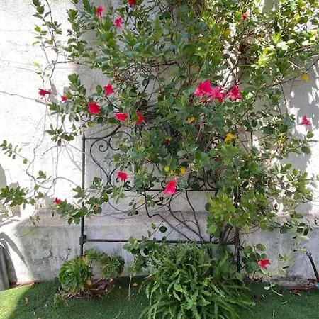 Cascais Garden